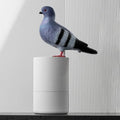 Pigeon Shape Soap Dispenser